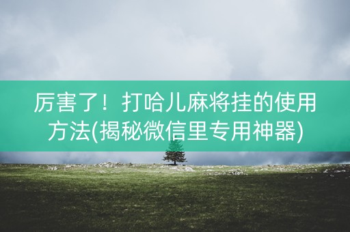 厉害了！打哈儿麻将挂的使用方法(揭秘微信里专用神器)