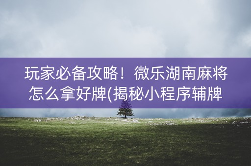 玩家必备攻略！微乐湖南麻将怎么拿好牌(揭秘小程序辅牌器)