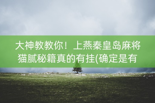 大神教教你！上燕秦皇岛麻将猫腻秘籍真的有挂(确定是有挂)