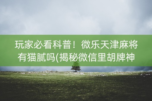 玩家必看科普！微乐天津麻将有猫腻吗(揭秘微信里胡牌神器)