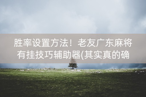 胜率设置方法！老友广东麻将有挂技巧辅助器(其实真的确实有挂)