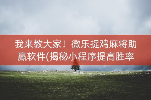 我来教大家！微乐捉鸡麻将助赢软件(揭秘小程序提高胜率)