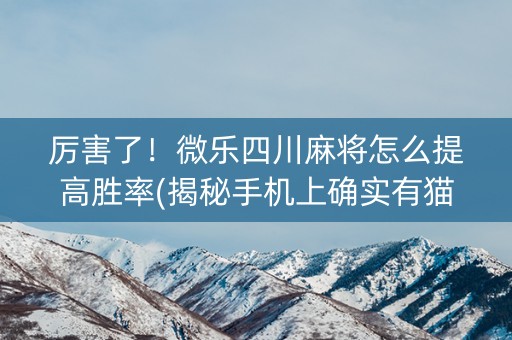 厉害了！微乐四川麻将怎么提高胜率(揭秘手机上确实有猫腻)