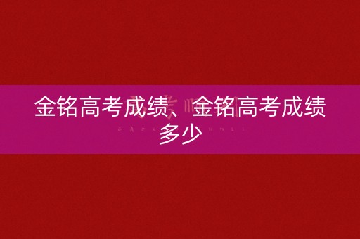 金铭高考成绩、金铭高考成绩多少
