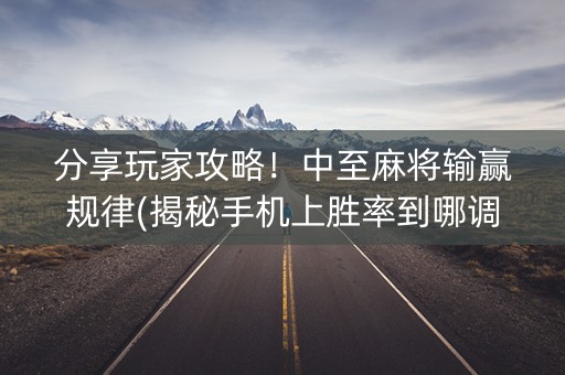 分享玩家攻略！中至麻将输赢规律(揭秘手机上胜率到哪调)