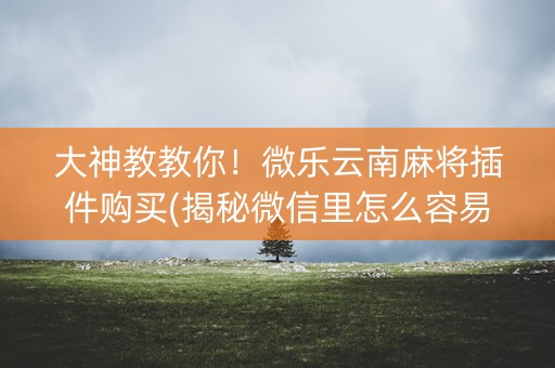 大神教教你！微乐云南麻将插件购买(揭秘微信里怎么容易赢)