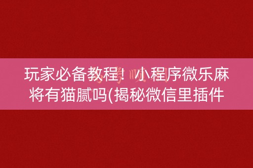 玩家必备教程！小程序微乐麻将有猫腻吗(揭秘微信里插件购买)