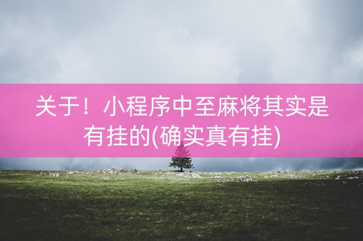 关于！小程序中至麻将其实是有挂的(确实真有挂)