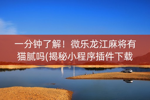 一分钟了解！微乐龙江麻将有猫腻吗(揭秘小程序插件下载)