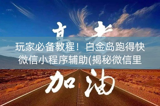 玩家必备教程！白金岛跑得快微信小程序辅助(揭秘微信里提高胜率)
