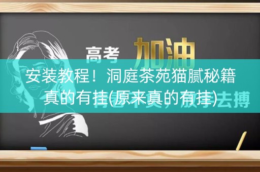安装教程！洞庭茶苑猫腻秘籍真的有挂(原来真的有挂)