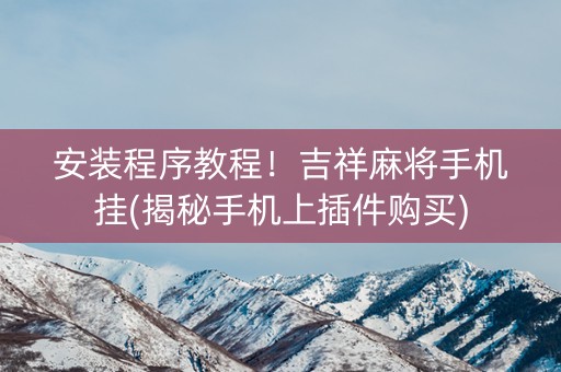 安装程序教程！吉祥麻将手机挂(揭秘手机上插件购买)