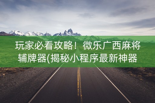 玩家必看攻略！微乐广西麻将辅牌器(揭秘小程序最新神器下载)