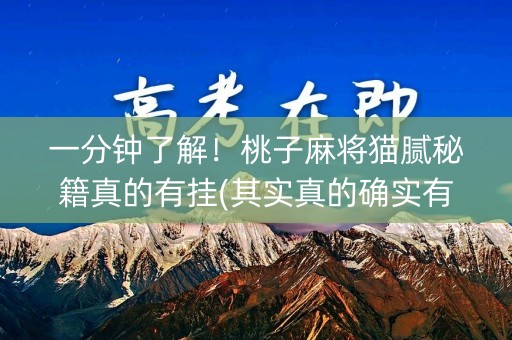 一分钟了解！桃子麻将猫腻秘籍真的有挂(其实真的确实有挂)