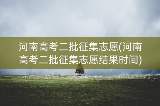 河南高考二批征集志愿(河南高考二批征集志愿结果时间)