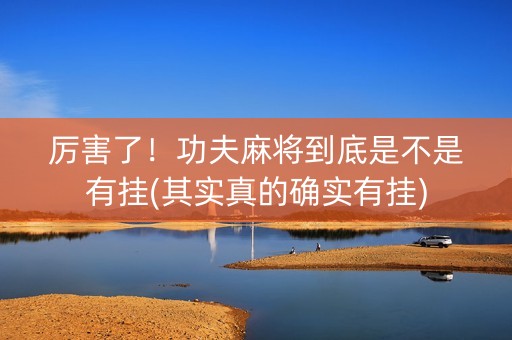 厉害了！功夫麻将到底是不是有挂(其实真的确实有挂)
