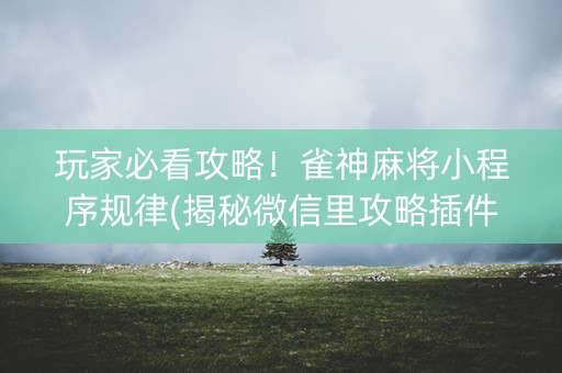 玩家必看攻略！雀神麻将小程序规律(揭秘微信里攻略插件)