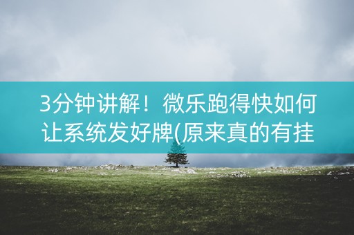 3分钟讲解！微乐跑得快如何让系统发好牌(原来真的有挂)