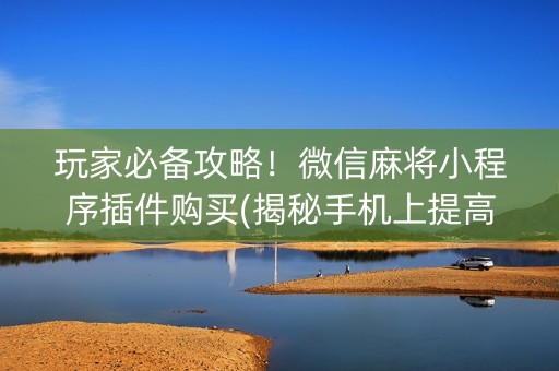 玩家必备攻略！微信麻将小程序插件购买(揭秘手机上提高胜率)