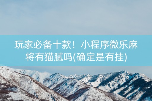 玩家必备十款！小程序微乐麻将有猫腻吗(确定是有挂)