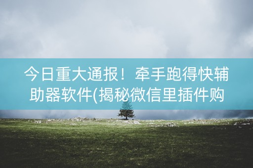 今日重大通报！牵手跑得快辅助器软件(揭秘微信里插件购买)