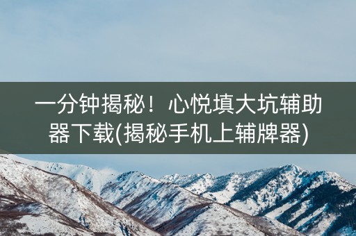 一分钟揭秘！心悦填大坑辅助器下载(揭秘手机上辅牌器)