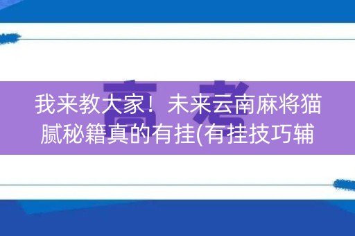 我来教大家！未来云南麻将猫腻秘籍真的有挂(有挂技巧辅助器)