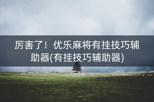 厉害了！优乐麻将有挂技巧辅助器(有挂技巧辅助器)