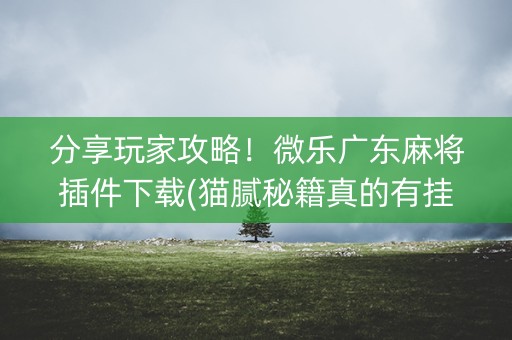 分享玩家攻略！微乐广东麻将插件下载(猫腻秘籍真的有挂)