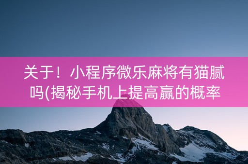 关于！小程序微乐麻将有猫腻吗(揭秘手机上提高赢的概率)