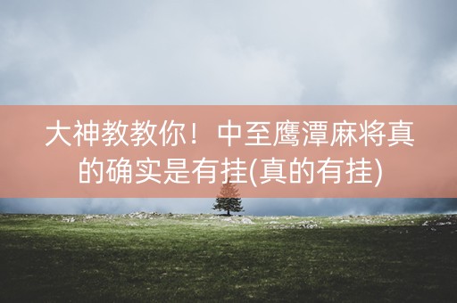 大神教教你！中至鹰潭麻将真的确实是有挂(真的有挂)