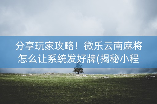 分享玩家攻略！微乐云南麻将怎么让系统发好牌(揭秘小程序自建房怎么赢)