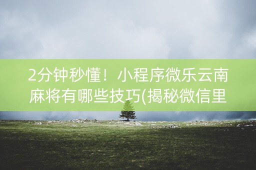 2分钟秒懂！小程序微乐云南麻将有哪些技巧(揭秘微信里赢的秘诀)