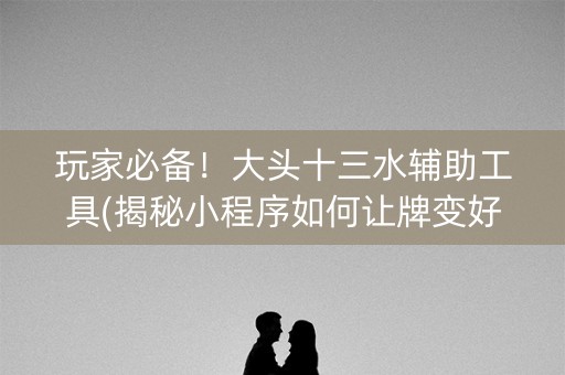 玩家必备！大头十三水辅助工具(揭秘小程序如何让牌变好)