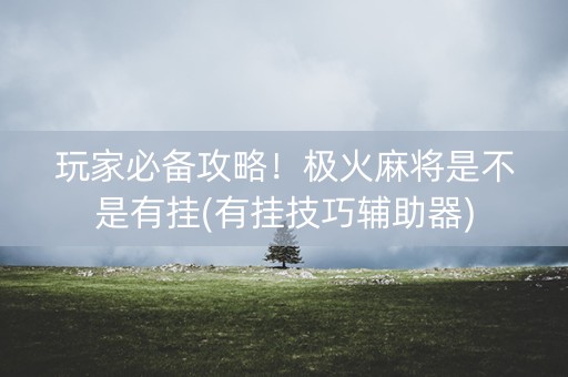 玩家必备攻略！极火麻将是不是有挂(有挂技巧辅助器)