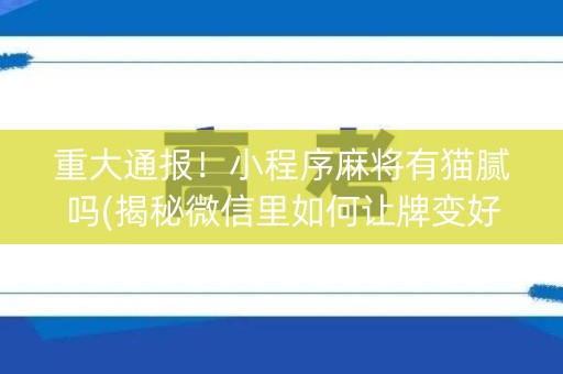 重大通报！小程序麻将有猫腻吗(揭秘微信里如何让牌变好)