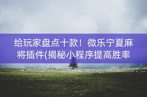 给玩家盘点十款！微乐宁夏麻将插件(揭秘小程序提高胜率)