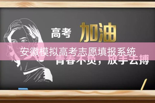 安徽模拟高考志愿填报系统