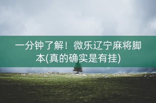 一分钟了解！微乐辽宁麻将脚本(真的确实是有挂)