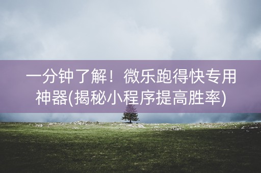 一分钟了解！微乐跑得快专用神器(揭秘小程序提高胜率)