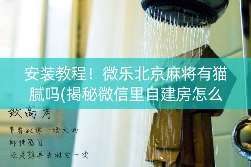 安装教程！微乐北京麻将有猫腻吗(揭秘微信里自建房怎么赢)
