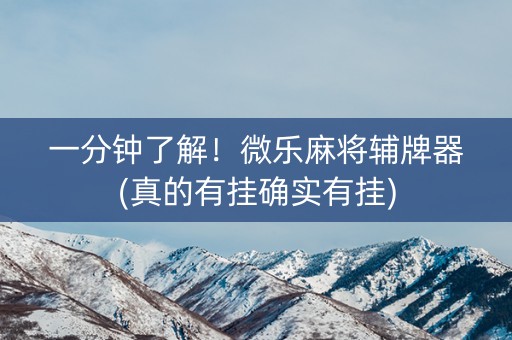 一分钟了解！微乐麻将辅牌器(真的有挂确实有挂)