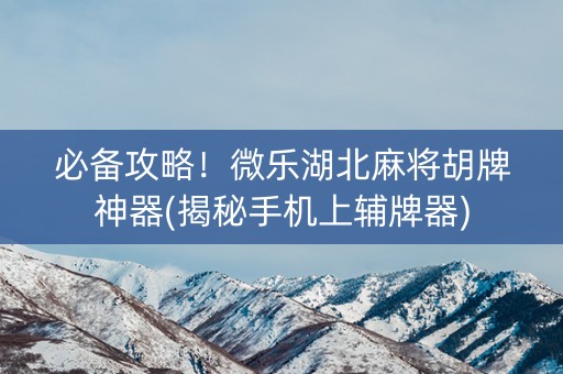 必备攻略！微乐湖北麻将胡牌神器(揭秘手机上辅牌器)