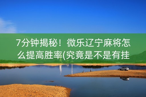 7分钟揭秘！微乐辽宁麻将怎么提高胜率(究竟是不是有挂)