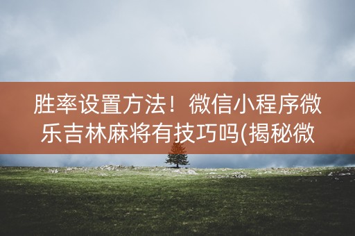 胜率设置方法！微信小程序微乐吉林麻将有技巧吗(揭秘微信里如何让牌变好)
