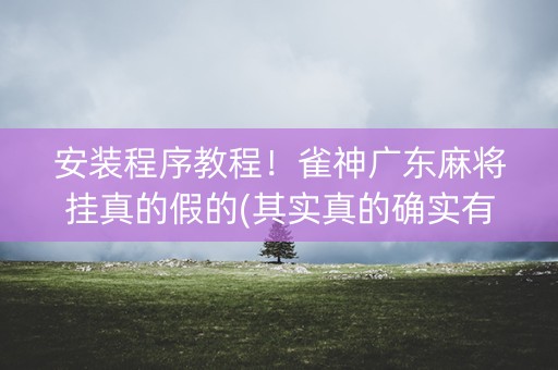 安装程序教程！雀神广东麻将挂真的假的(其实真的确实有挂)
