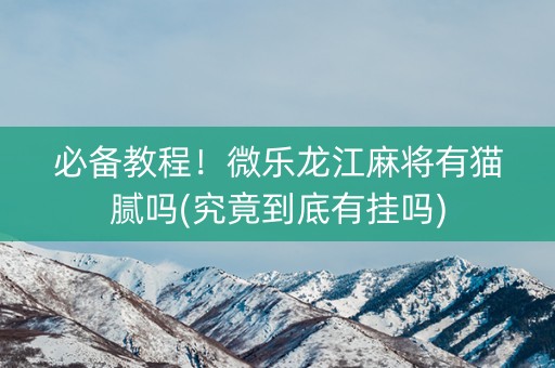 必备教程！微乐龙江麻将有猫腻吗(究竟到底有挂吗)