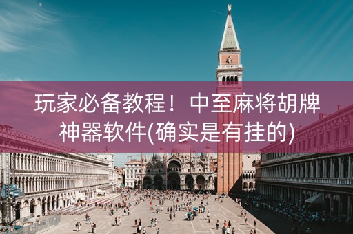 玩家必备教程！中至麻将胡牌神器软件(确实是有挂的)