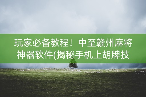 玩家必备教程！中至赣州麻将神器软件(揭秘手机上胡牌技巧)