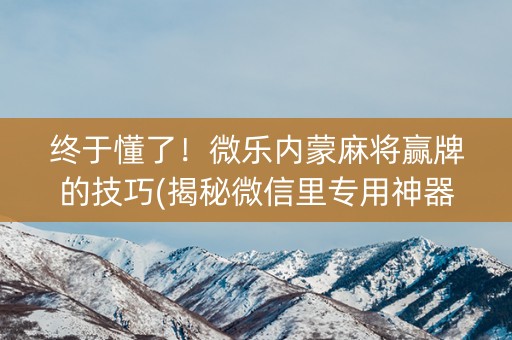 终于懂了！微乐内蒙麻将赢牌的技巧(揭秘微信里专用神器下载)